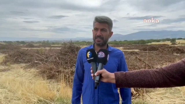 Elazığ Sütlüce Köylüleri, Ağaçların Tavuk Çiftliği İnşaatı Kesilmesine Tepki Gösterdi: Tarım Yapacaklarını İddia Edip, Ağaçları Kesiyorlar.