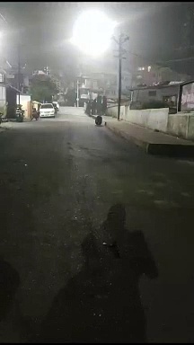 நீலகிரியில் சாவகாசமாக உலா வந்த ஒற்றை கரடி; குடியிருப்பு வாசிகள் வனத்துறைக்கு கோரிக்கை