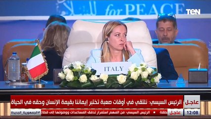 الرئيس السيسي: مصر انخرطت في جهود مضنية لتنسيق وإرسال المساعدات الإنسانية للمحاصرين في غزة