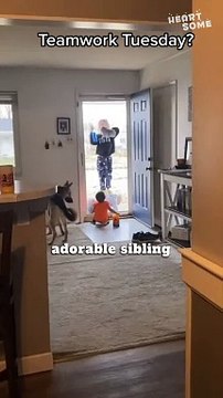 Adorable Sibling Teamwork: Kids Tackling Household Chores Together || Heartsome