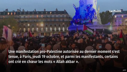 Manif pro-Palestine à Paris : Marine Tondelier critique les « Allah akbar » avant de s’excuser