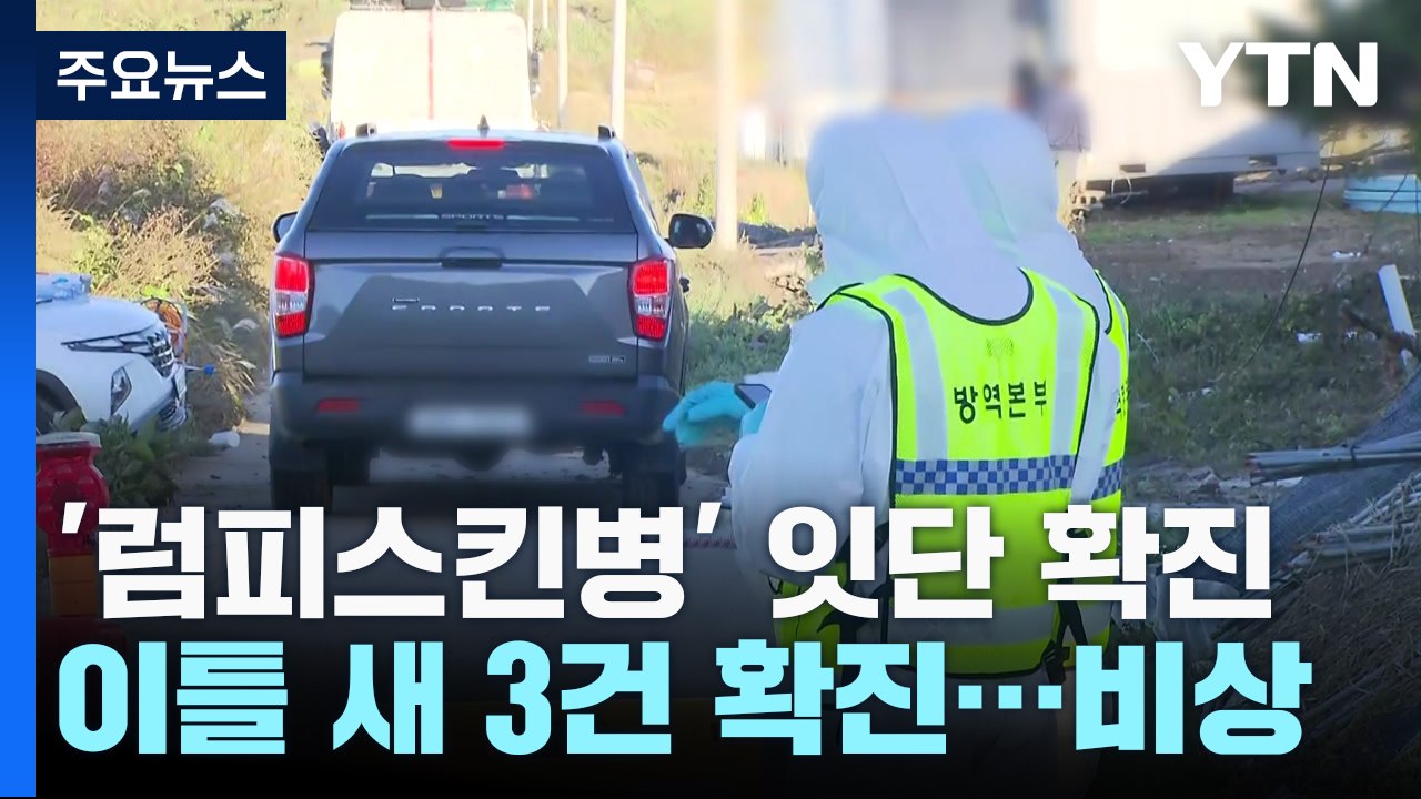 '럼피스킨병' 잇단 확진에 방역 비상...백신 접종 추진 / YTN