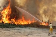 Manavgat'ta Orman Yangını Sonrası Ağaçlandırma Çalışmaları Devam Ediyor