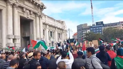 下载视频: Manifestazione pro Palestina a Milano, in piazza cori in arabo e cartelli contro Israele