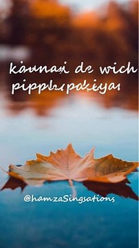 Mere Sohneya | Kabir Singh | Unplugged Cover