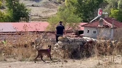 Bir aydır kayıptı, cesedi paramparça halde bulundu