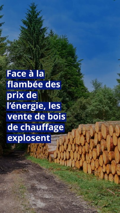 Face à la flambée des prix de l’énergie, les ventes de bois de chauffage explosent