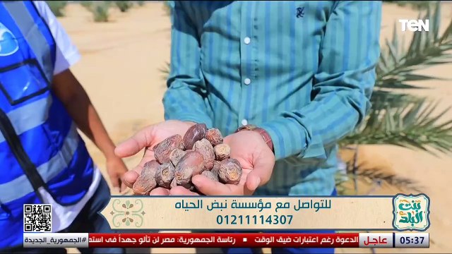 لقاء مع الشيخ محمد رضا للحديث عن أبرز جهود مؤسسة نبض الحياة | بنت البلد