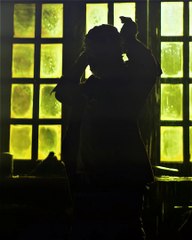 Jawan SRK Status  - Shahrukh Khan Edit