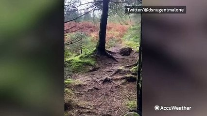 Spooky weather: Ground shifts up and down during Storm Babel