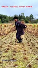 Full funny video link bio