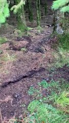 Momento em que a terra se levanta durante tempestade Babet, na Escócia