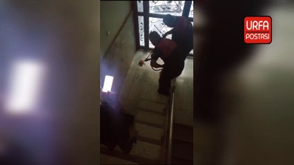 Şanlıurfa'da yılan yakalandı, doğal yaşam alanına bırakıldı