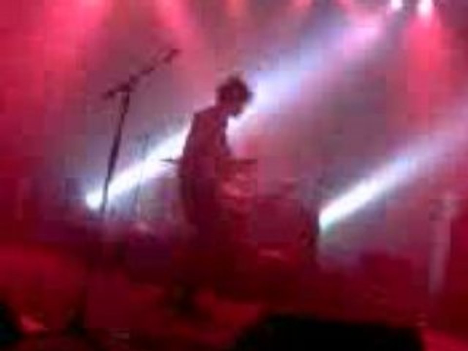 Bb brunes nantes wolfman (entiere)