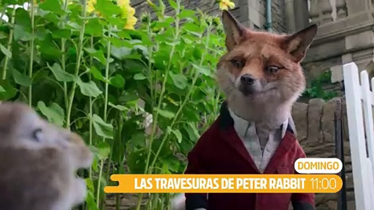 Peter Rabbit’ - Vídeo Dailymotion