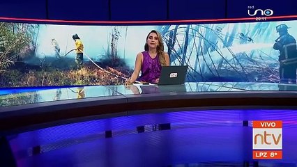 Incendio forestal en El Remanso amenazó viviendas