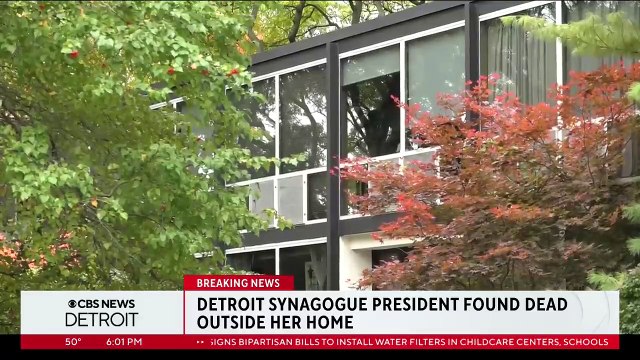 USA : La présidente d'une synagogue de Detroit, retrouvée dans une marre de sang devant son domicile après avoir été poignardée à plusieurs reprises