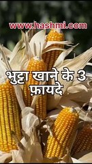 Benefits of eating corn