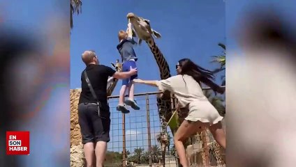 Zürafayı beslemeye çalışan ufaklık