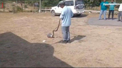 राजसमंद: आबकारी परिसर पर आया कोबरा सांप, फिर देखें जो हुआ?