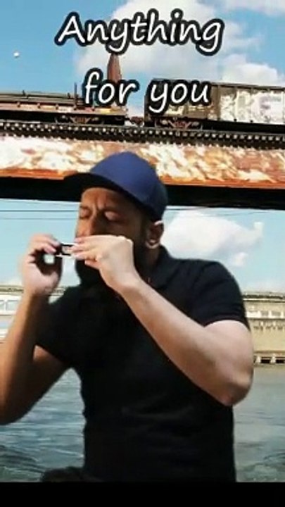 Sing Me To Sleep - Alan Walker ( Harmonica Shorts)  @Alanwalkermusic #dailymotion #harmonica #harpmanofperth