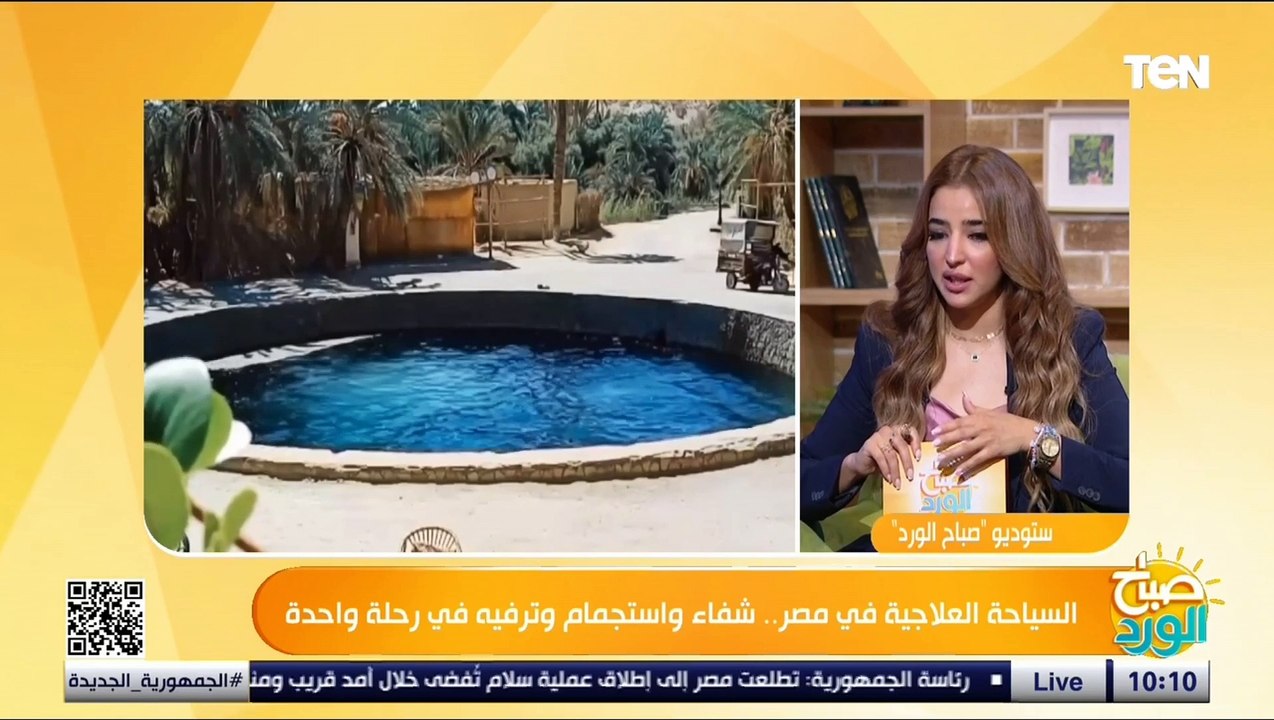 هل تأثرت مصر بالأحداث الجارية في المنطقة؟..عضو الاتحاد المصري للغرف السياحية يطمئن العاملين بالسياحة