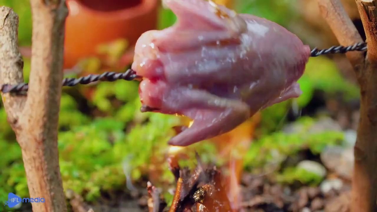 Whole Chicken Roasted in the Mini Forest | ASMR Outdoor Cooking