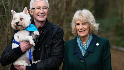 Paul O’Grady’s For The Love of Dogs’ remake in making and this is who could present it
