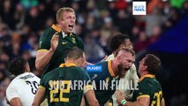 Rugby, la finale del mondiale sarà tra Sud Africa e Nuova Zelanda