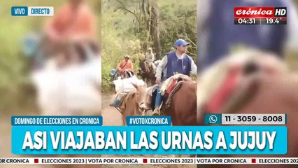 Casi doce horas en mula para repartir las urnas en Jujuy