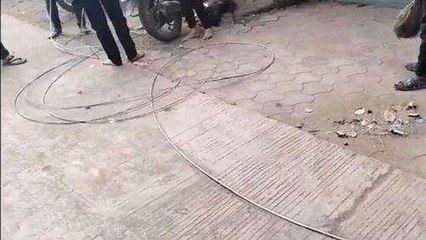 अनदेखी: बिजली तार टूटी, स्कूल बस में सवार बच्चे हादसे से बाल-बाल बचे