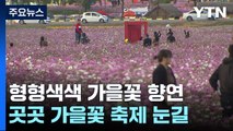 남녘은 형형색색 가을꽃 향연...화려한 국화 조형물 눈길 / YTN
