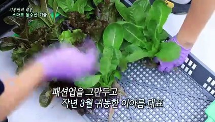 [연합뉴스TV 스페셜] 298회: 기후변화 대응 스마트 농수산 기술