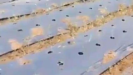 ములుగు: బాబోయ్ దొంగలు.. చివరికి వీటిని కూడా వదలట్లేదు..!