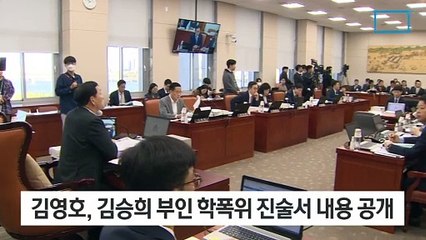 민주 “김승희 부인, 반성시키려 때렸다고 진술”
