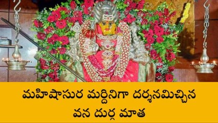 మెదక్: ఏడుపాయలలో ఘనంగా శరన్నవరాత్రి నవరాత్రి ఉత్సవాలు