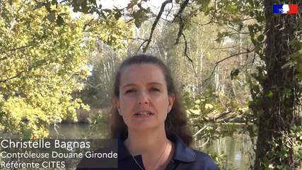 Réseau Faune Sauvage Captive et CITES - Entretien 6