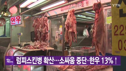 [대한민국실록2023] 오늘의 헤드라인: 럼피스킨병 확산에 경북 청소 소 싸움 중단·한우 가격 13% 상승 / YTN