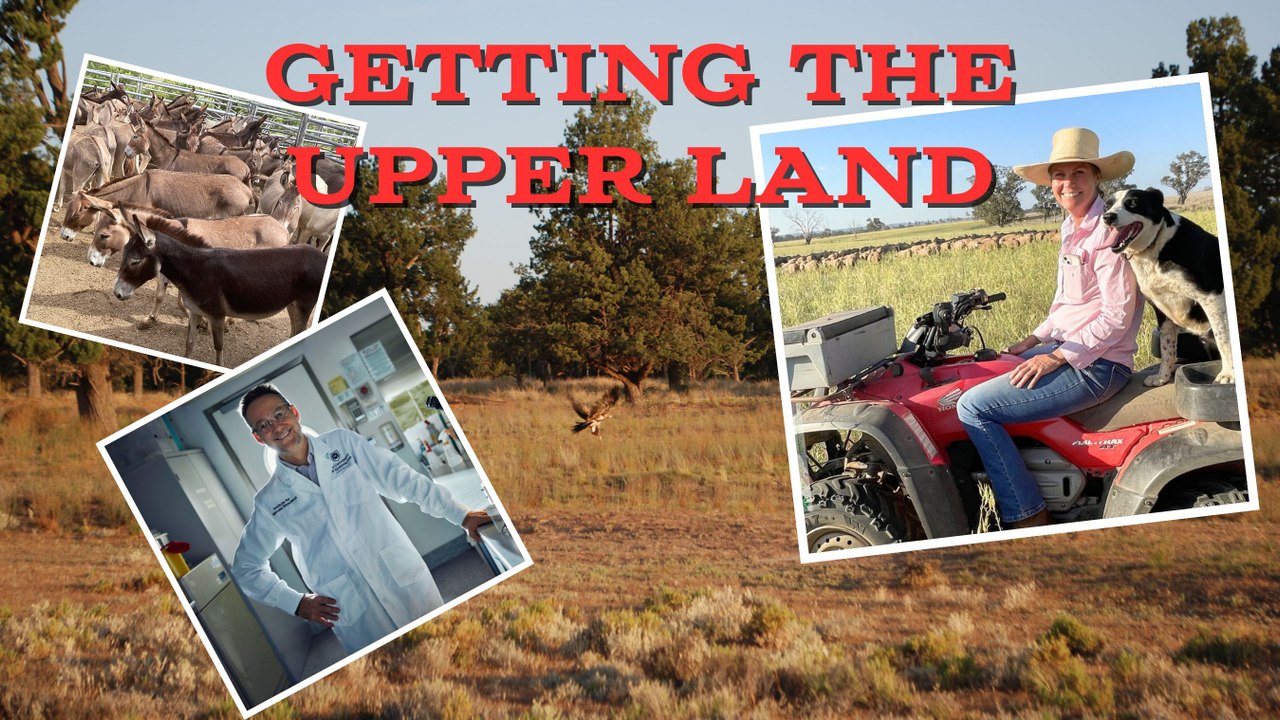 Getting the Upper Land | Episode 16