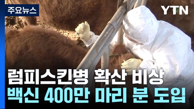 럼피스킨병 확산 조짐... 백신 접종 전국으로 확대 / YTN