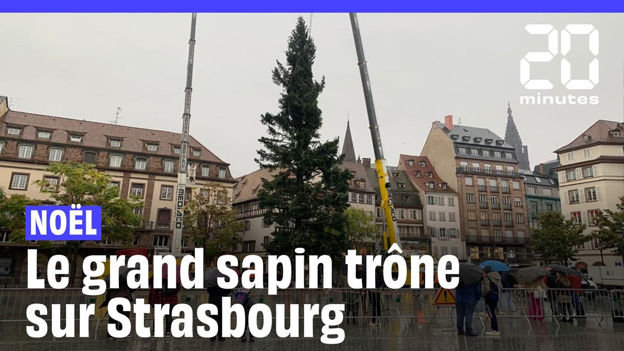 Strasbourg : Le grand sapin de Noël installé place Kléber