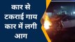 फतेहपुर: गाय से टकराई कार,धू धूकर जलने लगी कार,सवारों ने कूद कर बचाई अपनी जान