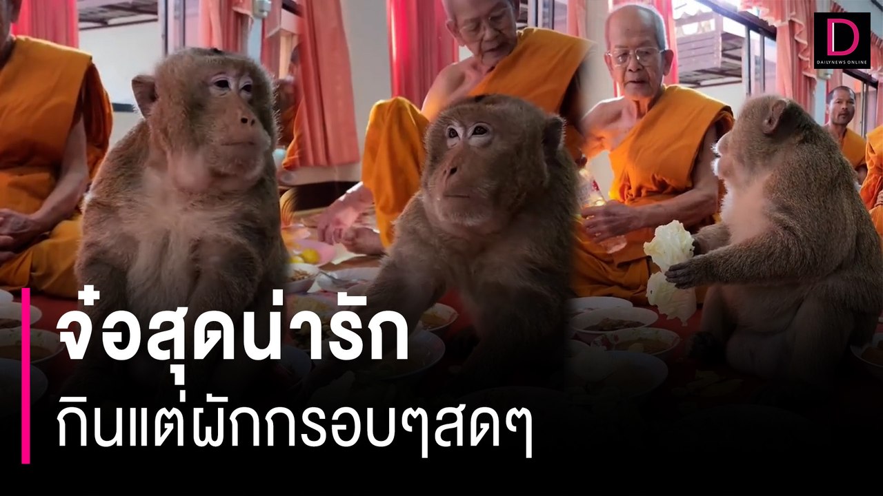 เอ็นดู!! จ๋อสุดน่ารัก กินแต่ผักกรอบๆสดๆ  | HOTSHOT เดลินิวส์ 25/10/66
