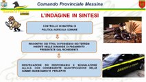 Truffa per i fondi Agea, due denunce e sequestro beni nel Messinese