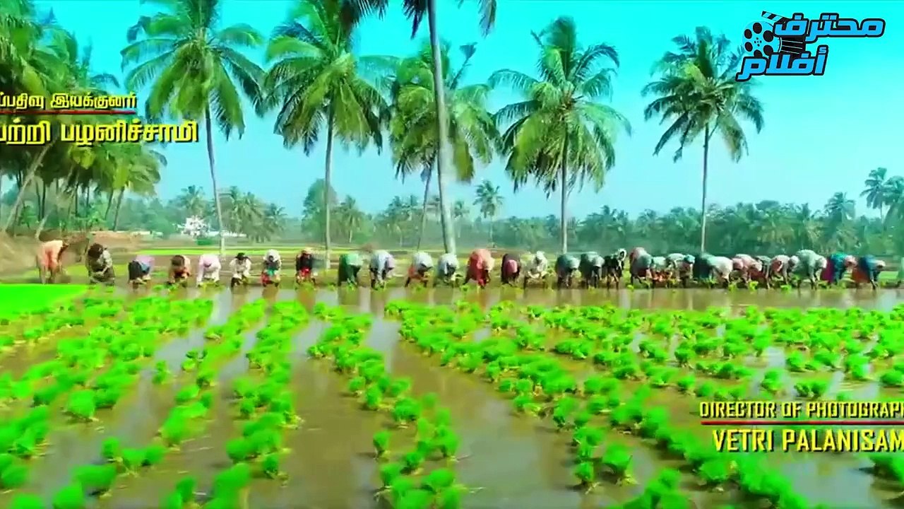 شاب قوى بيرجع من السفر بعد 15 سنه بيلاقى زعيم القريه الفاسد قتل ابوه وسرق ارضه وطرد امه فبيقرر ينتقم