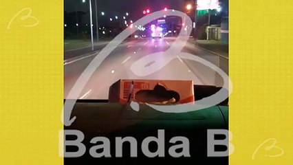 Vídeo mostra carro em chamas após capotamento na Linha Verde; assista