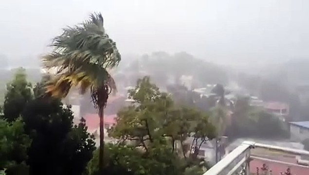dimanche 22 oct 2023 6 h 33 aux Abymes à Dautemar en Guadeloupe