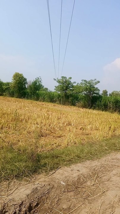 How to village