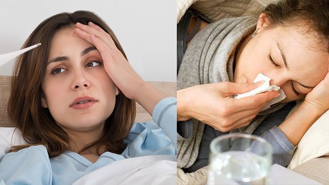 Common Cold Vs Seasonal Allergies Difference क्या है| Seasonal Allergies Symptoms | Boldsky