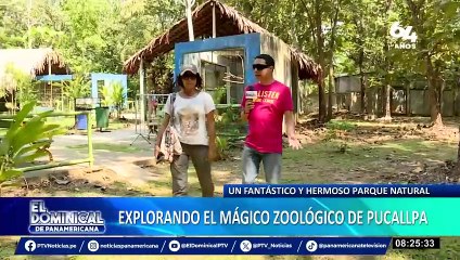 Parque Natural de Pucallpa: oasis de vida silvestre busca convertirse en zoológico moderno